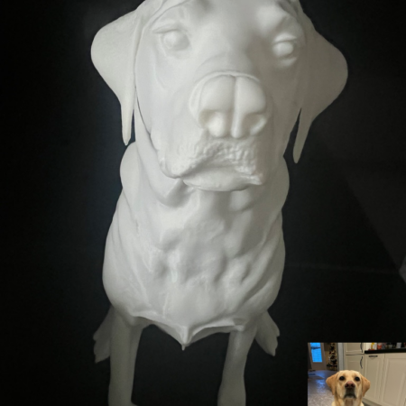 Pet 3D Portrait